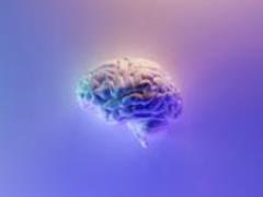 Ученые отыскали бабушкины нейроны для запоминания лиц