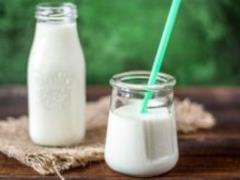 Israeli startup creates cow s milk from yeast