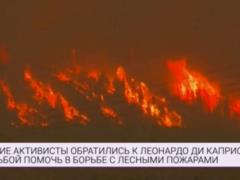 Влада Якутії попросили Ді Капріо не лізти в їх лісові пожежі