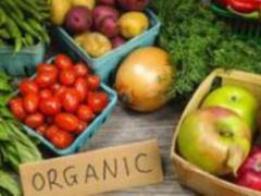Запуск сертификации органической продукции отложили на три года