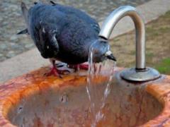 The heat in Ukraine will last until the end of the week