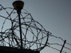 Україна відправить Литві колючий дріт для захисту кордону з Білоруссю