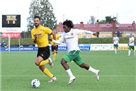 Vorskla - KuPS. The day before