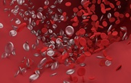 Scientists explain the presence of blood clots in infected with COVID-19