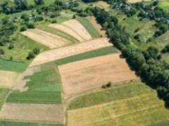 В Украине заклюсенл 3277 соглашений в рамках действующего рынка земли