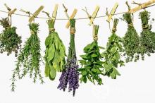 Folk remedies for lowering blood pressure