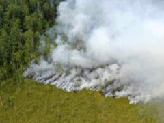 Ученые констатируют климатическую катастрофу на планете