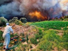 На юге Турции пожар дошел до жилых районов, людей эвакуировали