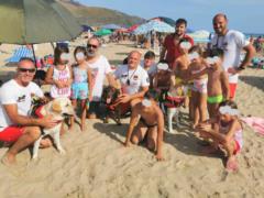 In Italy, rescue dogs returned 14 people to the shore, who were swept into the sea by the current