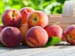 Пищеварение и давление: названы веские причины чаще есть персики