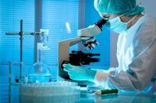 Research provides important information about human metabolism
