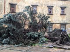 В Украине без электроснабжения остаются 44 населенных пункта в трех областях