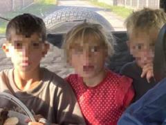 Потерявшиеся в лесу на Закарпатье дети найдены