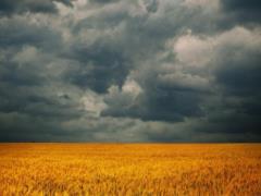 Forecasters warn of thunderstorms, hail and gusty winds
