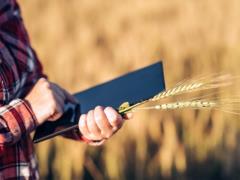 В Украине создадут Государственный аграрный реестр