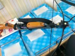 In Poltava, a 19-year-old girl wounds two teachers from a crossbow