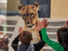 Visitors to the Kharkiv Zoo are urged to follow a number of rules