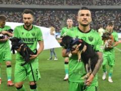 In Romania, footballers went to the match with dogs in their arms: why did they do it