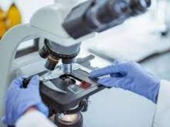 Scientists have identified another gene that determines the course of COVID-19