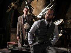 Стала известна дата выхода третьего фильма «Фантастические твари»