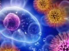 Ученые нашли способ усилить иммунитет в борьбе с раком