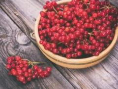 What is good viburnum?