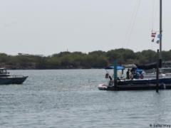 The Netherlands detained Ukrainians who transported illegal immigrants