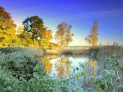 On weekends in Kharkov it will be relatively comfortable: at night and in the morning - frost, in the afternoon - warm
