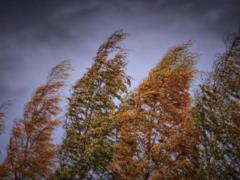 It will be very windy in most of the country