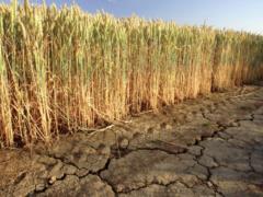 Мир плохо подготовлен к надвигающемуся водному кризису – ООН