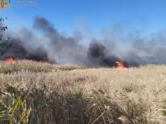 В Балаклее вспыхнул масштабный пожар