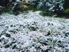 Буковель засыпает снегом: видео
