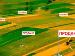 Shmygal announced the average cost of a hectare of land
