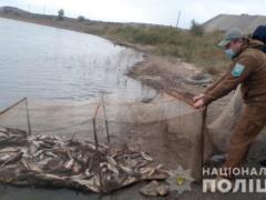 Браконьер в Мариуполе выловили рыбы на более чем 2 млн гривен