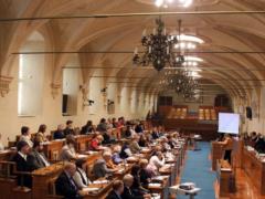 Czech Senate doubts the president s ability to rule the country