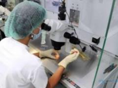 Прорывное исследование: ученые нашли новый способ лечить мужское бесплодие