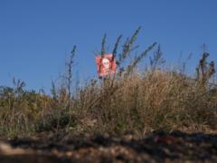 На Донбасі окупанти активізували мінування місцевості в тилу, - розвідка