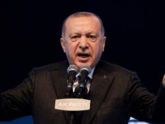 Erdogan ordered to expel ambassadors of the USA, Germany and France from Turkey