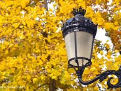 Forecasters gave a forecast for November