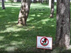 Terekhov: It will be possible to relax on the lawns in the Shevchenko Garden