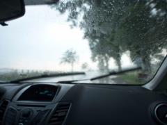 В Украине будут действовать новые ПДД и дорожные знаки: к чему готовиться водителям
