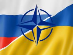 Russia has no say in Ukraine s cooperation with NATO - MFA