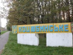 Klitschko appealed to the NABU and the RRB because of the theft of thousands of hectares of Belichansky forest