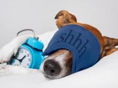 Recovery From Sleep Deficiency Takes Longer Than It Looks - CNN