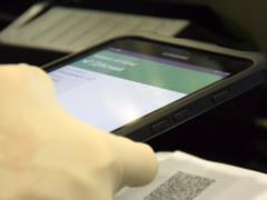 За сутки в киевских аэропортах пограничники обнаружили 4 поддельных COVID-сертификата