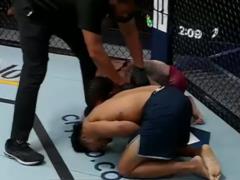 Double knockdown: in the UFC, fighters simultaneously  