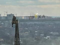 В Харькове неадекватка залезла на высоковольтную линию электропередач
