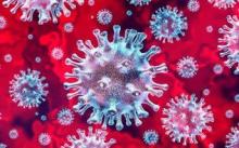 Ученые создают технологию быстрой диагностики для выявления SARS-CoV-2
