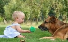 10 myths about ticks and encephalitis