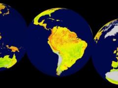 Глобальное потепление будет убивать все больше людей, если его не остановить — The Guardian